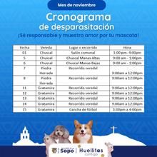 Cronograma de desparasitación 