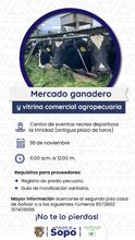 Mercado Ganadero y vitrina comercial agropecuaria 