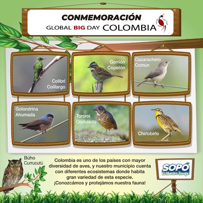 Conmemoración de las especies de aves en Colombia